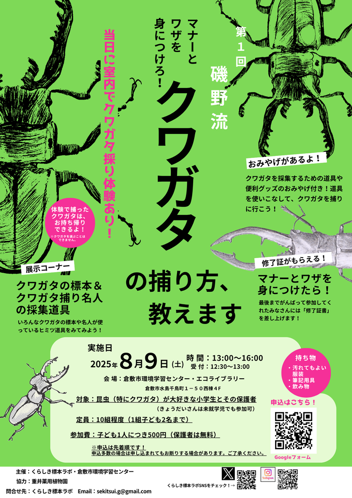 クワガタチラシ