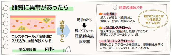 コレステロールが増えるとコレステロールが血管壁に入り込み、血管が狭くなり、さまざまな病気の引き金になります。主な受診先は内科です。