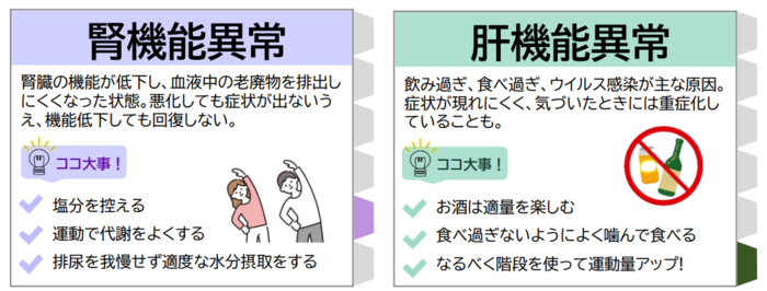 腎機能に関する値が高かった方は、減塩や軽い運動を意識しましょう。肝機能に関する値が高かった方は、食べ過ぎ・飲みすぎに注意して肝臓をいたわる習慣を心がけましょう。
