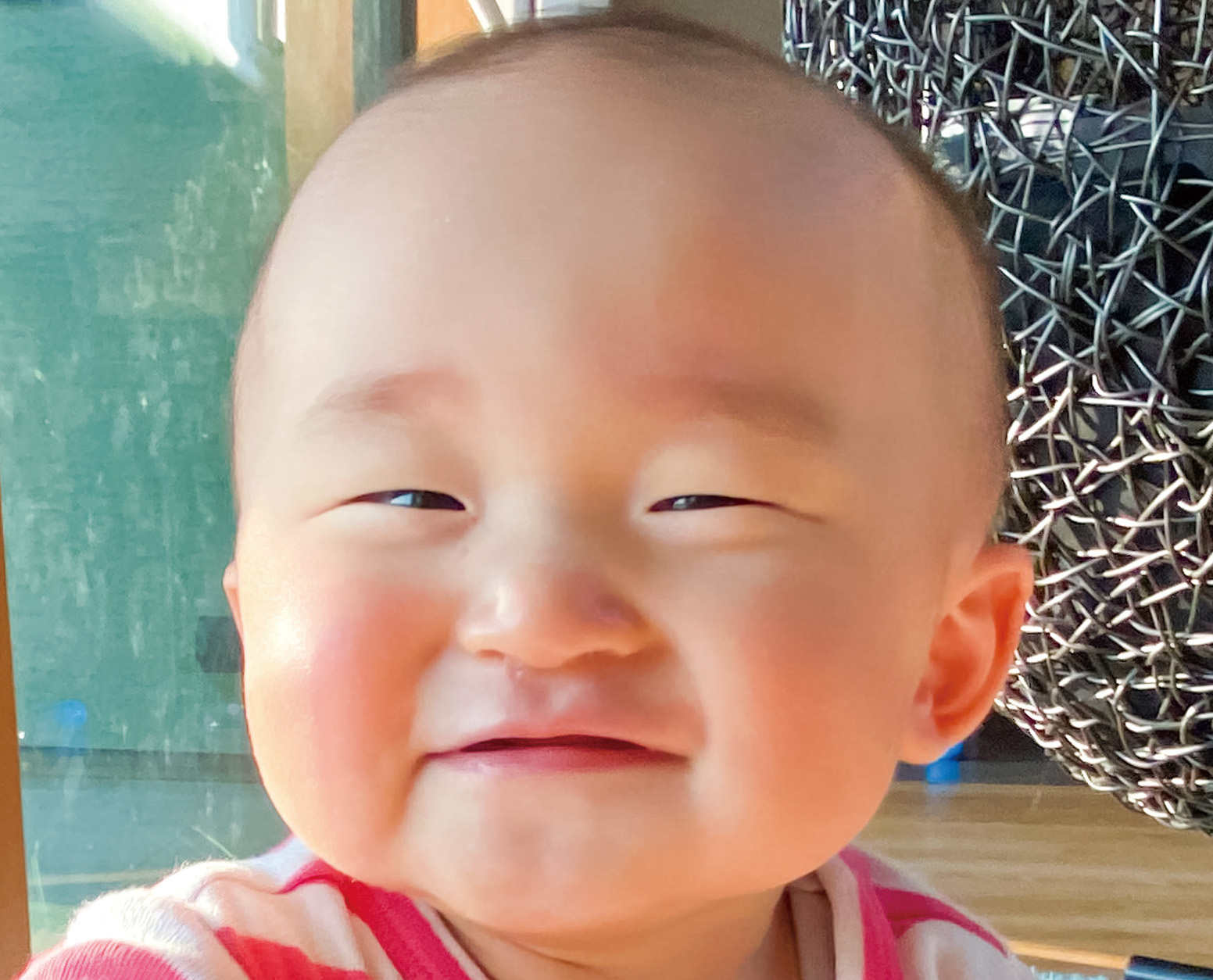 辻林 匠誠ちゃんの写真