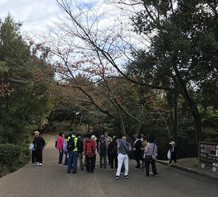 観察会