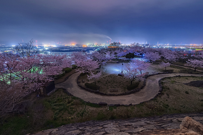 亀島山花と緑の丘公園