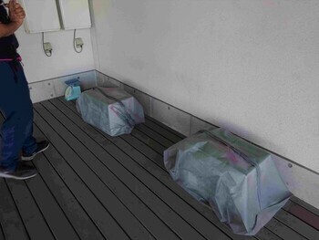 観察の様子