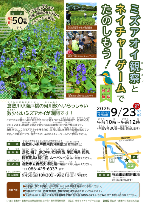 チラシ画像