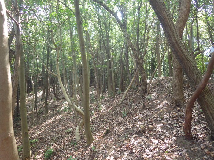 西の谷12号墳