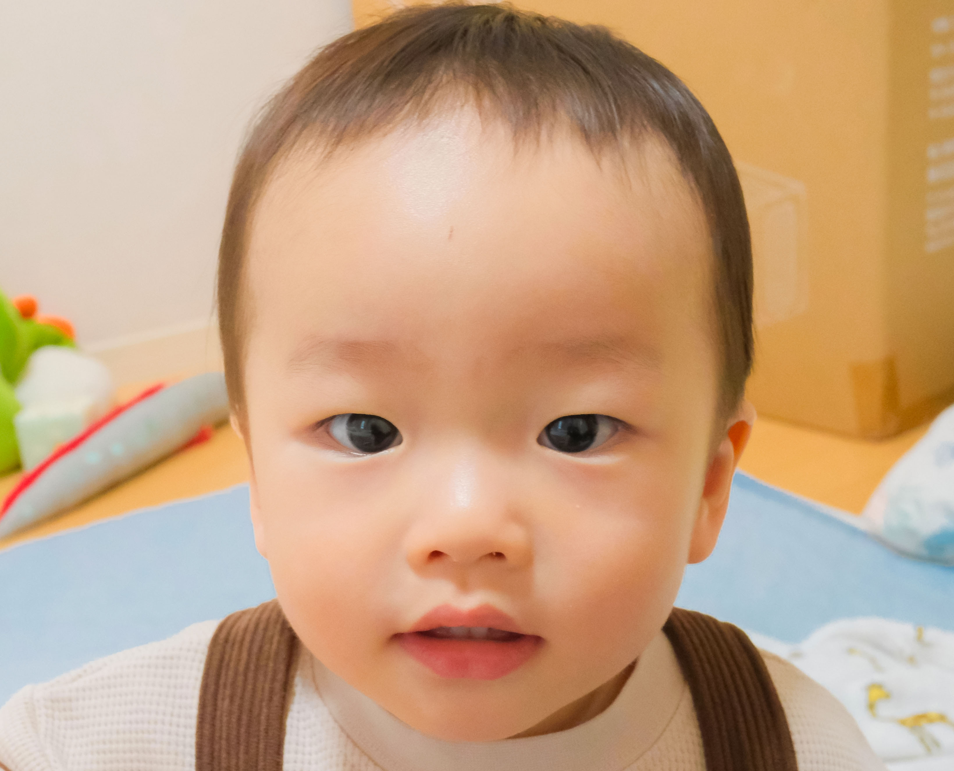 広内 曜ちゃんの写真