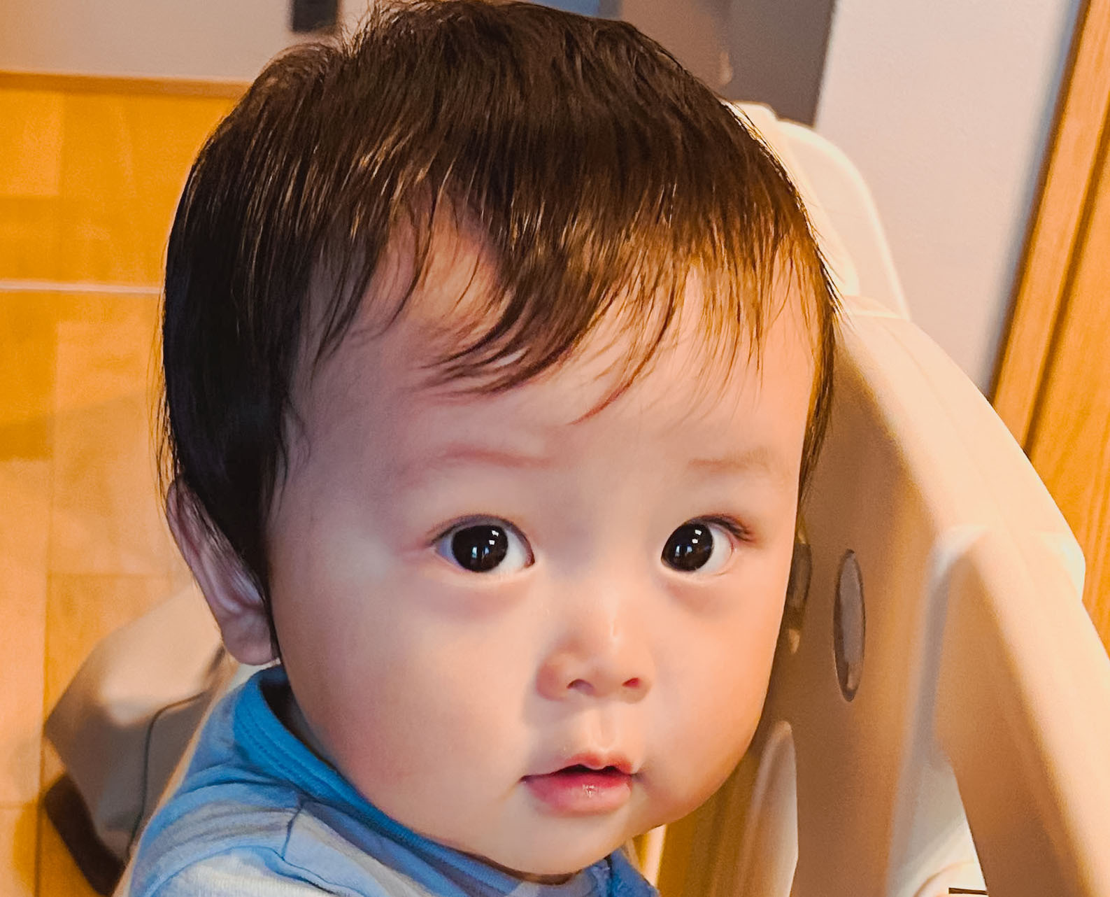 角田 七瀬ちゃんの写真