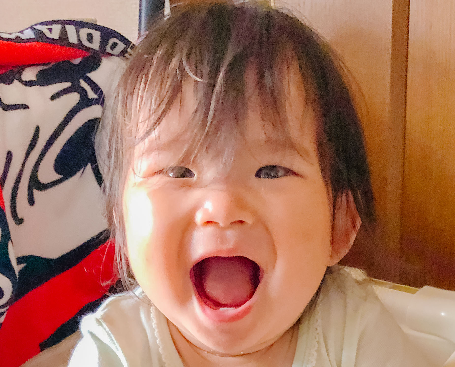 辻 結花ちゃんの写真