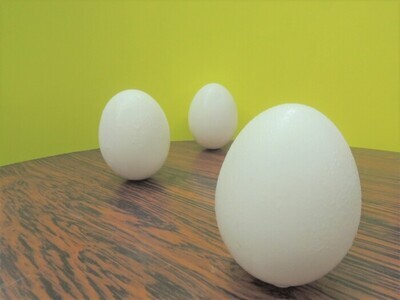 たまごの写真
