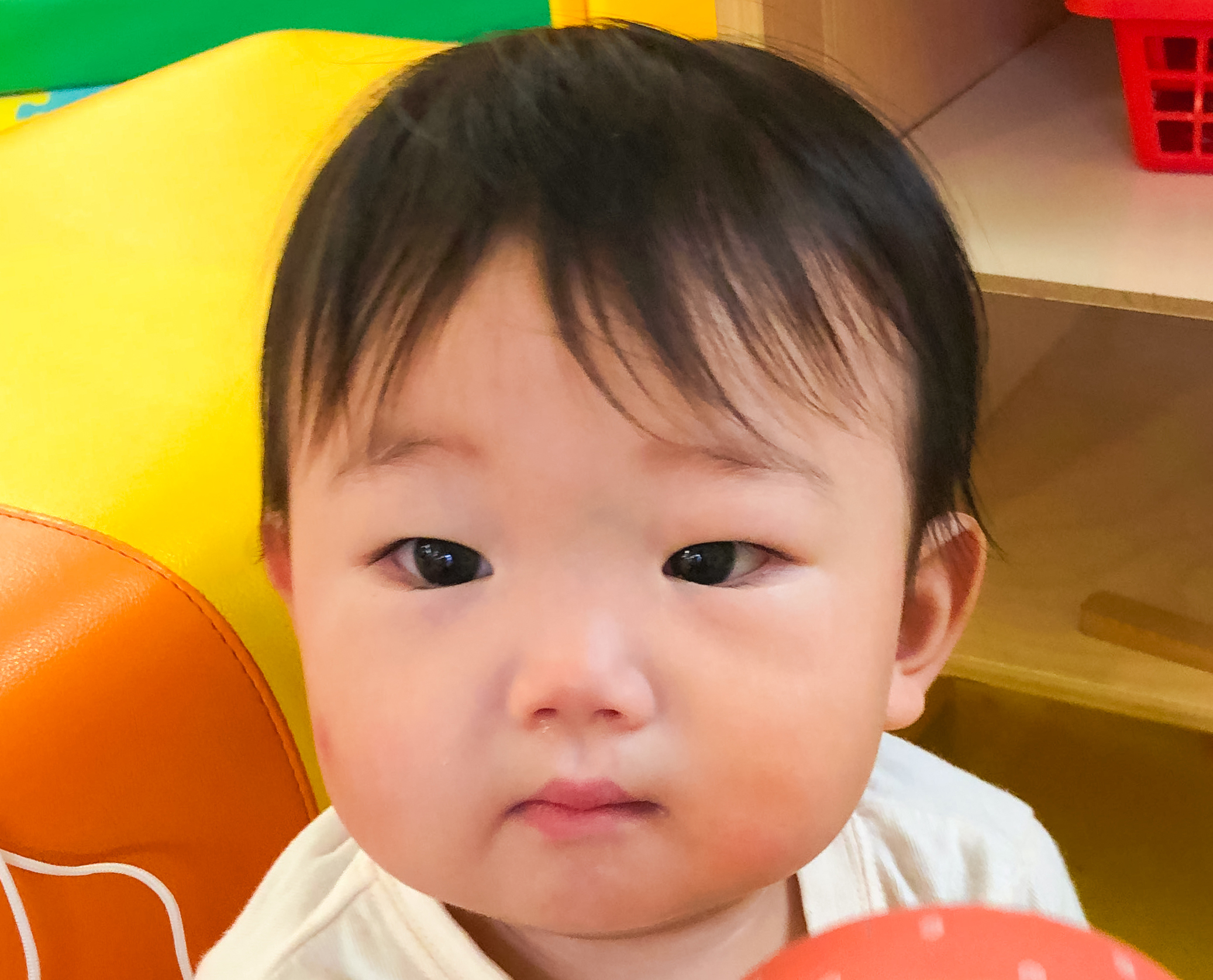 芦田 楓真ちゃんの写真