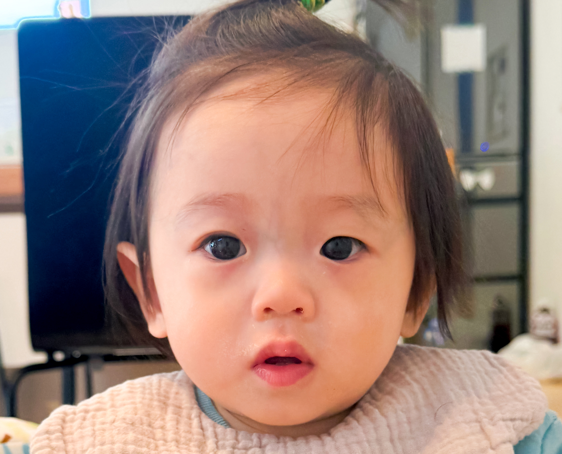 藤森 珀ちゃんの写真