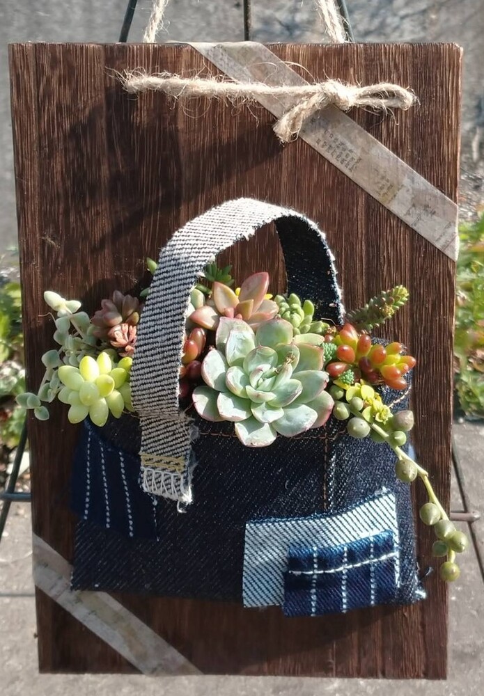 多肉デニム寄せ植え