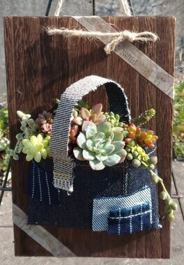 多肉植物のかわいい寄せ植え☆苗のプレゼント付き～ウッドボードに