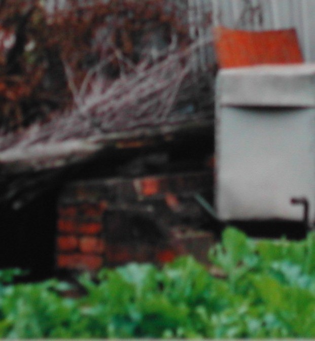 士官宿舎跡の写真