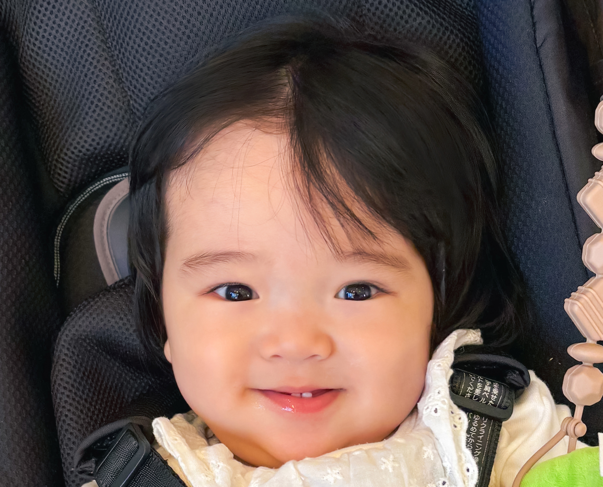 平川 朔ちゃんの写真