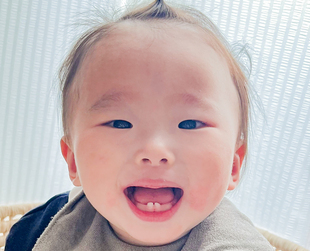 河本 和來ちゃんの写真