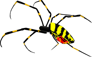 イラスト：ジョウログモ全身