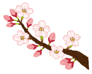 桜のイラスト