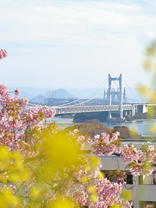写真：春の瀬戸大橋
