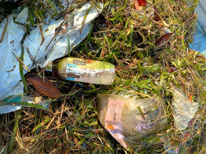 引き上げられた水草やごみ