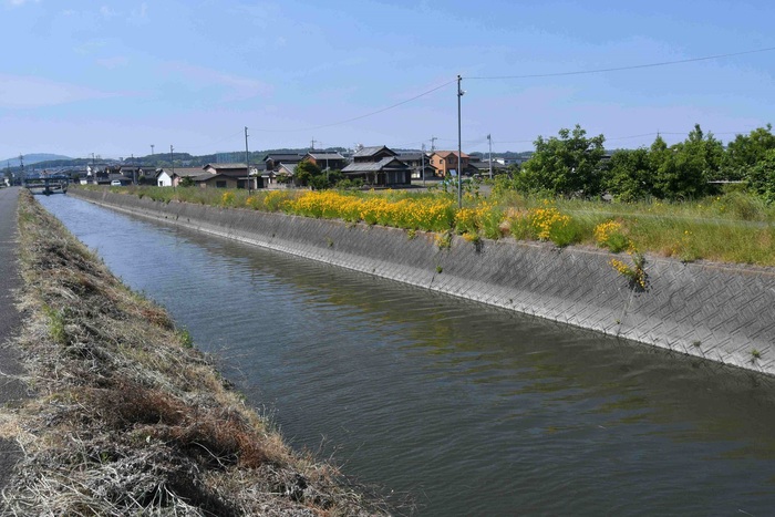 倉敷市西田にある六間川東岸の写真