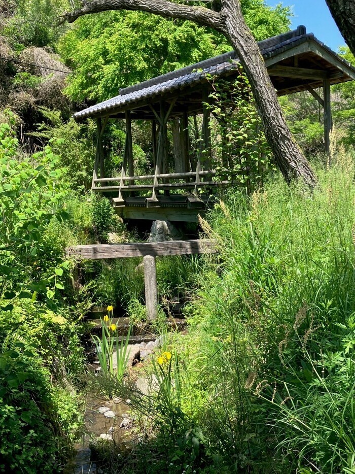 蛍遊の水辺のシンボル「屋形橋」の写真