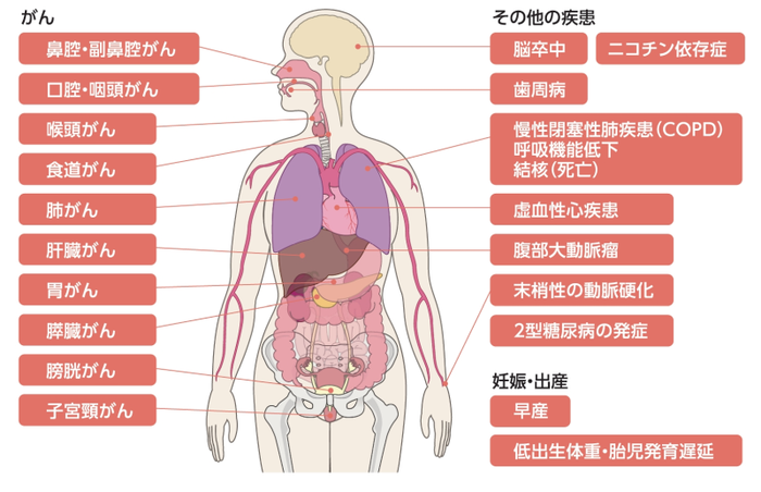 たばこのイラスト