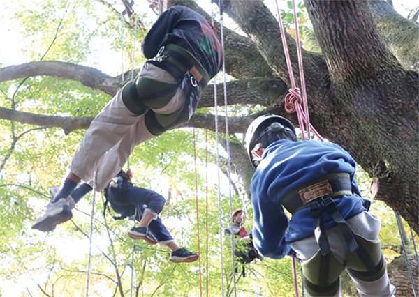 ツリーing体験の写真
