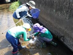 八間川調査隊イメージ画像