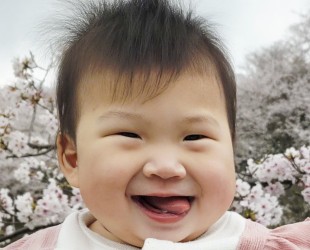山元 琴葉ちゃんの写真
