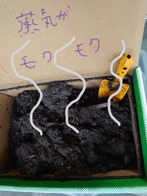 6月25日混ぜると湯気がもくもく出てる