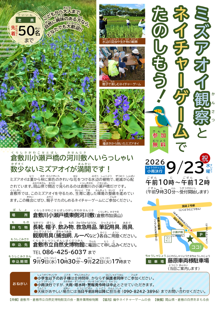 チラシ画像