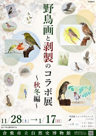 特別陳列「野鳥画と剥製のコラボ展～秋冬編～」のポスター