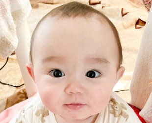 ハービー帆梛ちゃんの写真