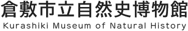 倉敷市立自然史博物館