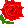 イラスト：薔薇の花