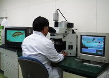 光学顕微鏡システム（写真）