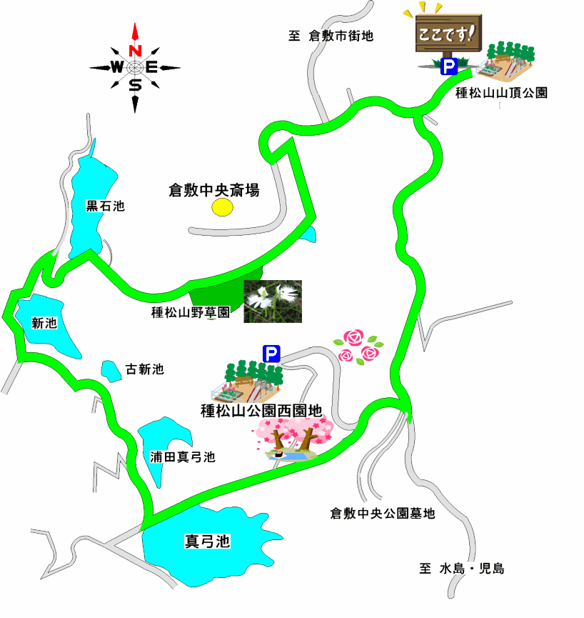 種松山コース図