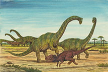 [大きな体でアロサウルスから群れを守るディプロドクス」