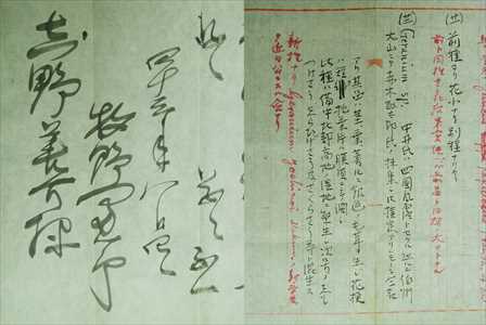 牧野富太郎博士からの書簡
