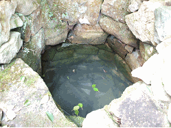 写真：小野小町姿見の井戸　井戸の中