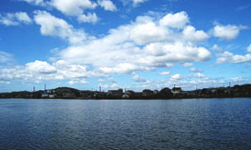 溜川の風景写真